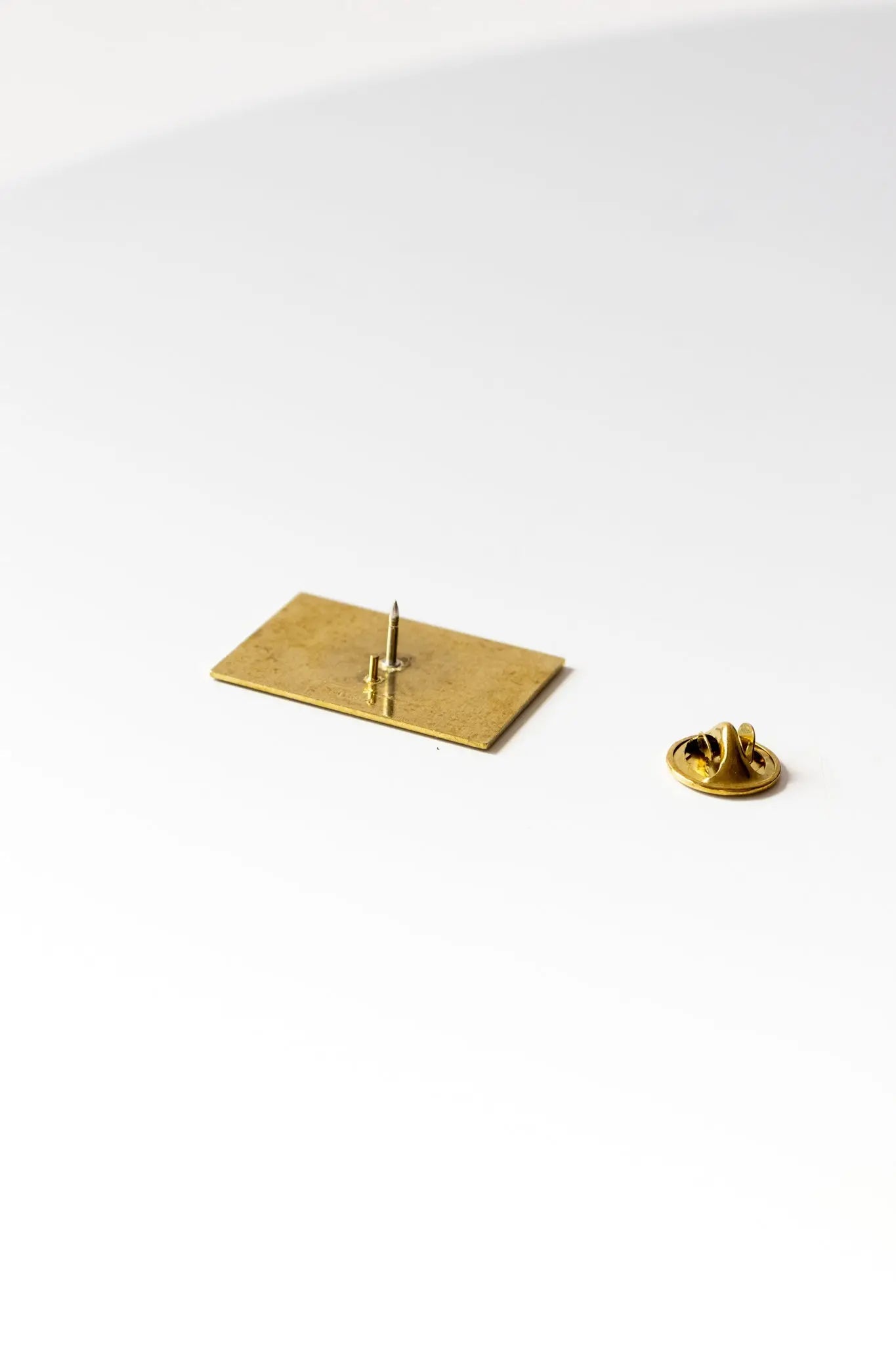 Pioneer Plaque Pin - Pin from Stemcell Science Shop