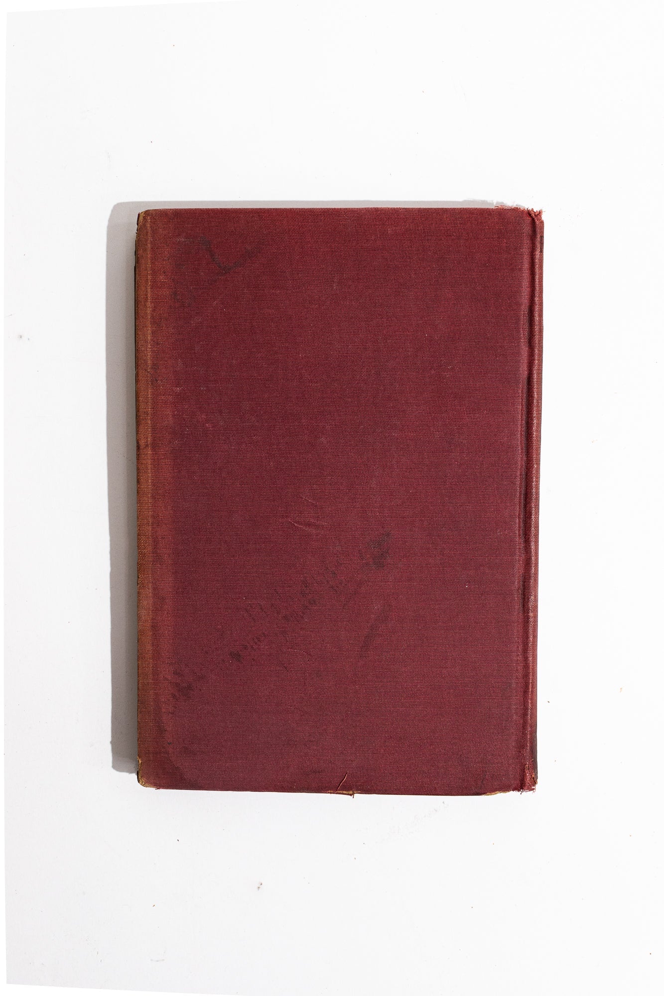 Roadway and Track - from Stemcell Science Shop