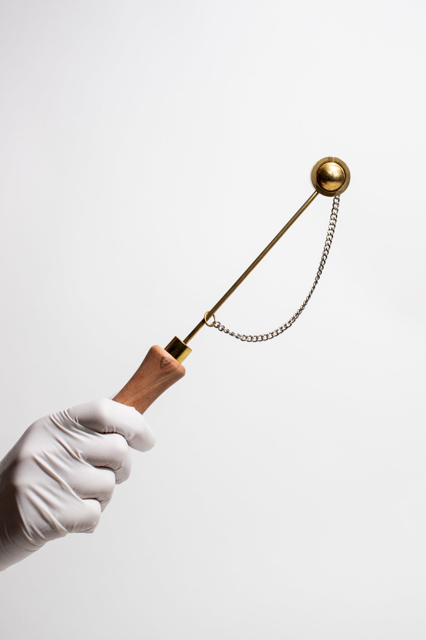 ‘s Gravesande’s Ring - Demonstration from Stemcell Science Shop