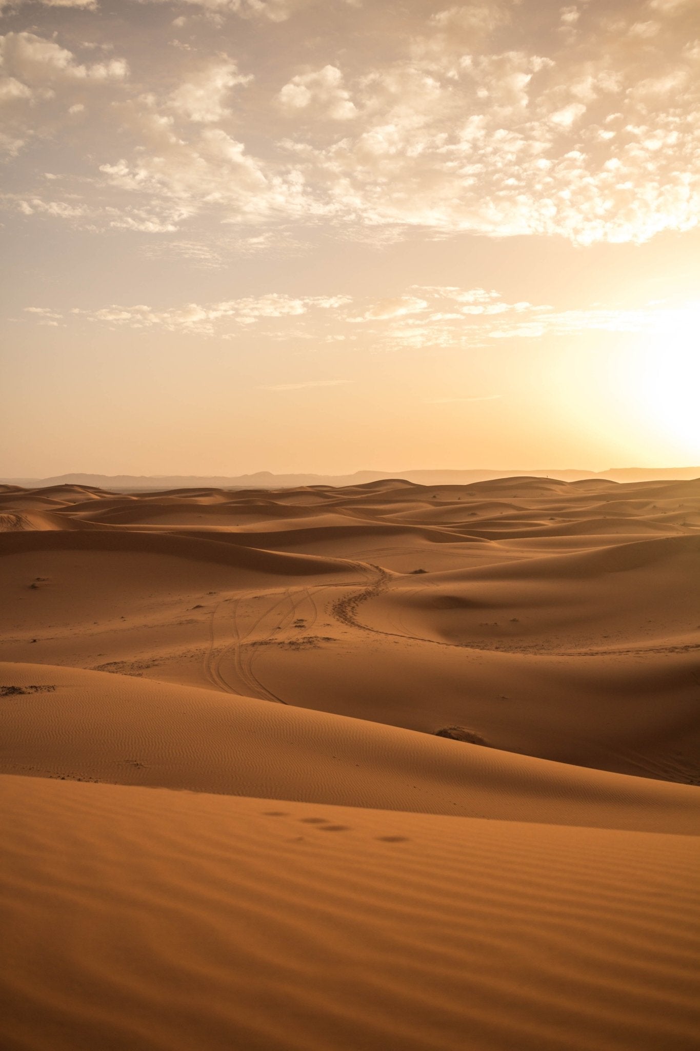 Saharan Sand - Natural Specimen from Stemcell Science Shop
