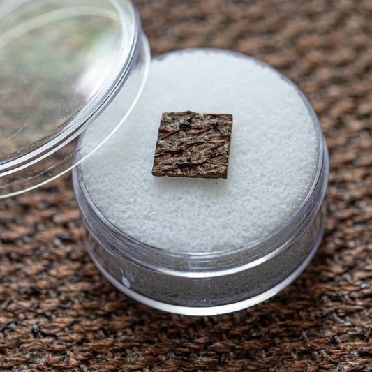 Salyut 7 Space Station