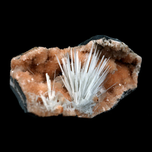 Scolecite Accular Sprays Inside Heulandite Geode Natural Mineral Specimen # B 4902