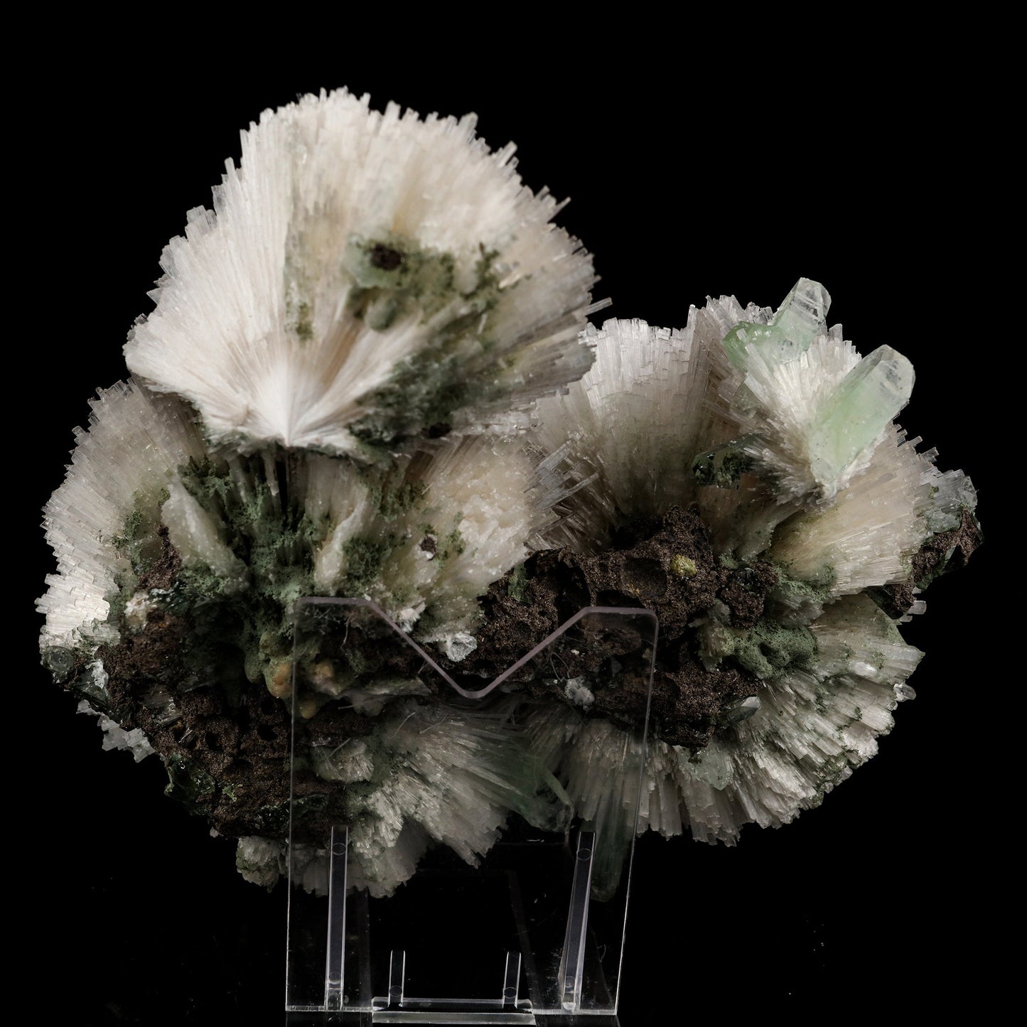 Scolecite Huge Spray on Green Apophyllite Cube Natural Mineral Specimen #5667