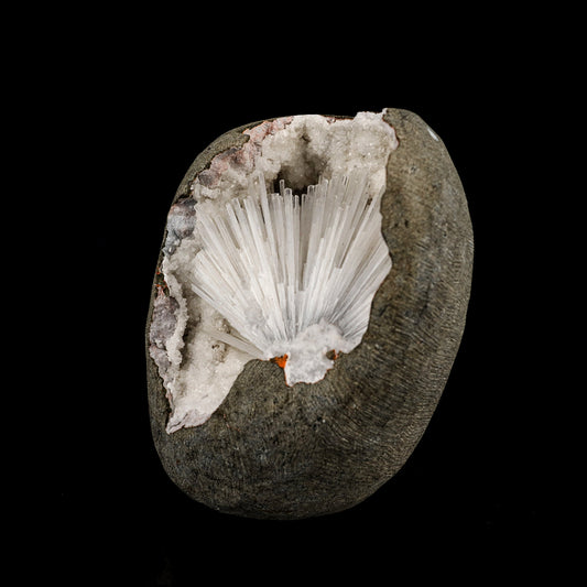 Scolecite Spray Inside MM Quartz Geode Natural Mineral Specimen # B 6335