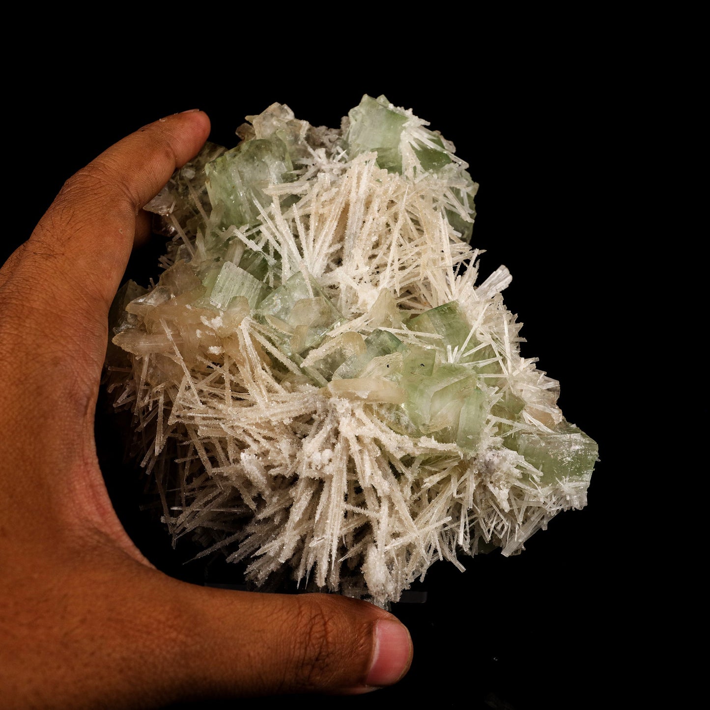 Scolecite Spray With Green Apophyllite Natural Mineral Specimen # B 5911