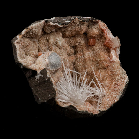 Scolecite Sprays Fan Inside Heulandite Geode Natural Mineral Specimen # B 5133