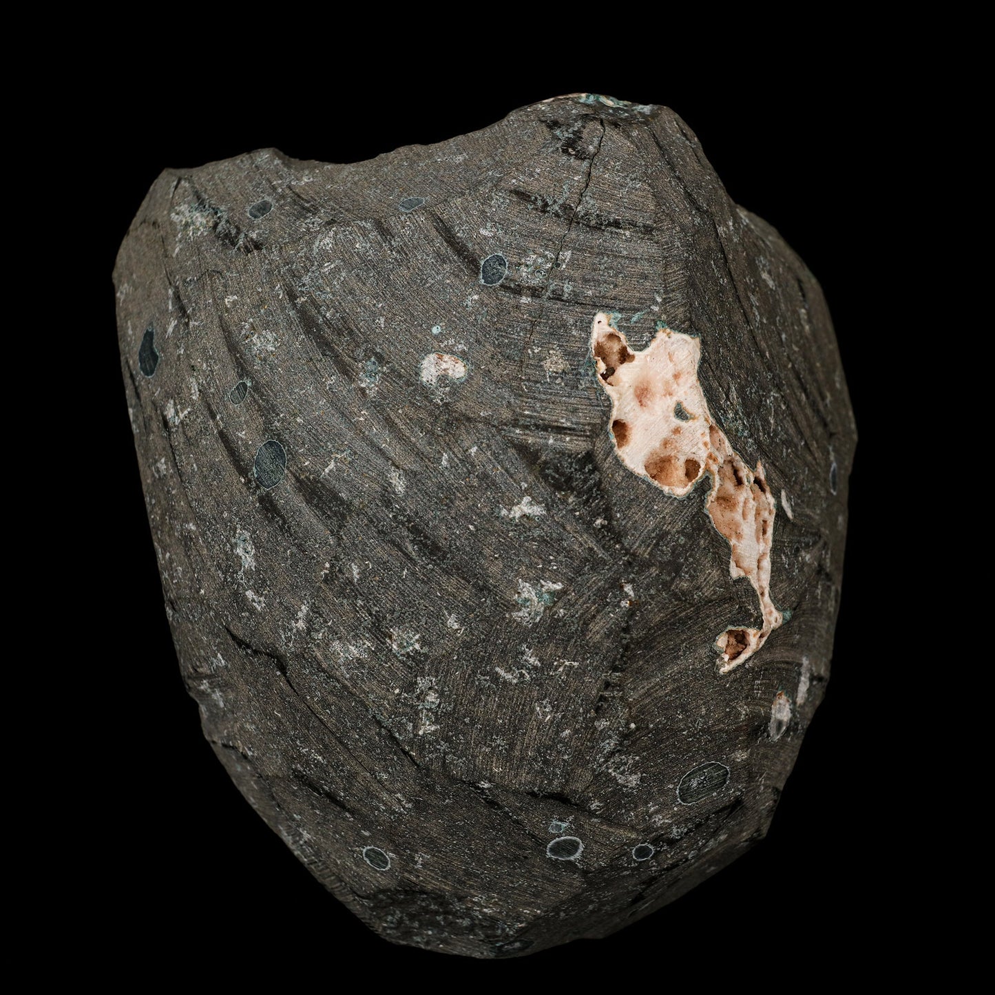 Scolecite Sprays Inside Heulandite Geode Natural Mineral Specimen # B 5745