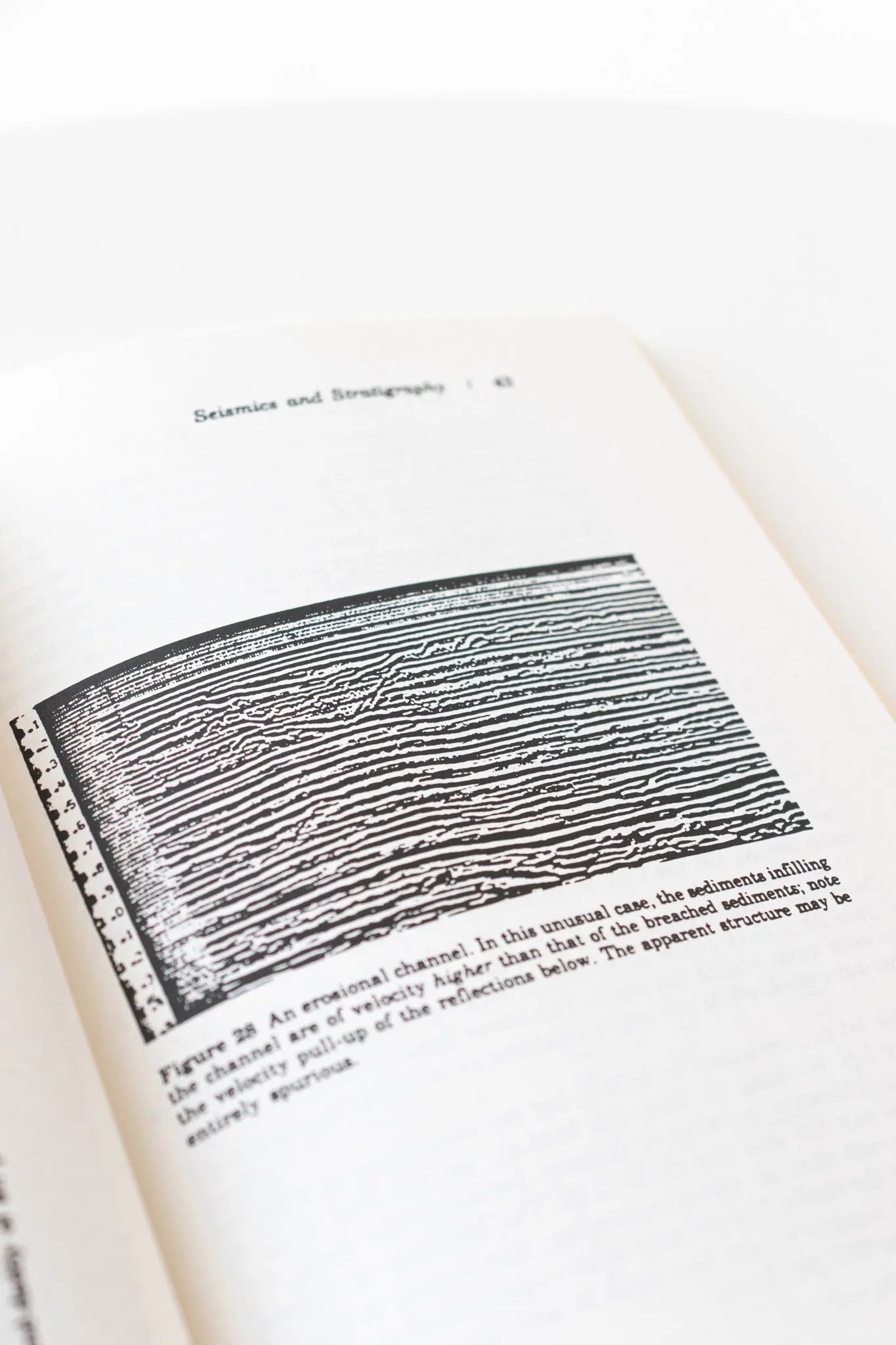 Simple Seismics - Books from Stemcell Science Shop