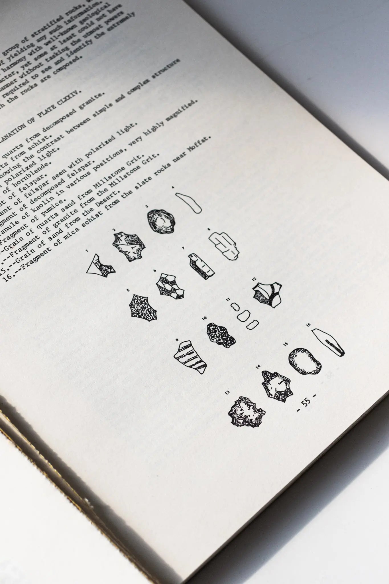 Sorby on Sedimentology - Books from Stemcell Science Shop