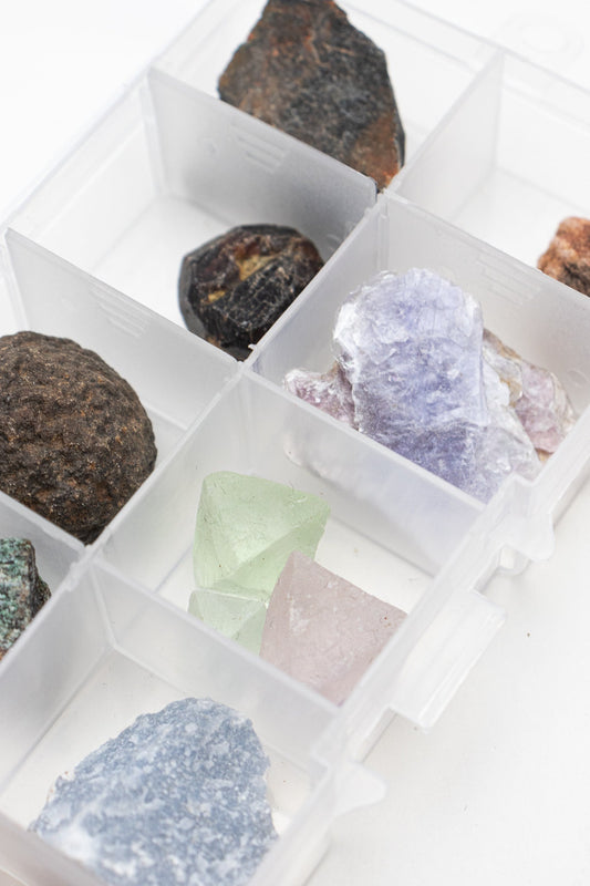 Specimen Collection Box - Tool from Stemcell Science Shop
