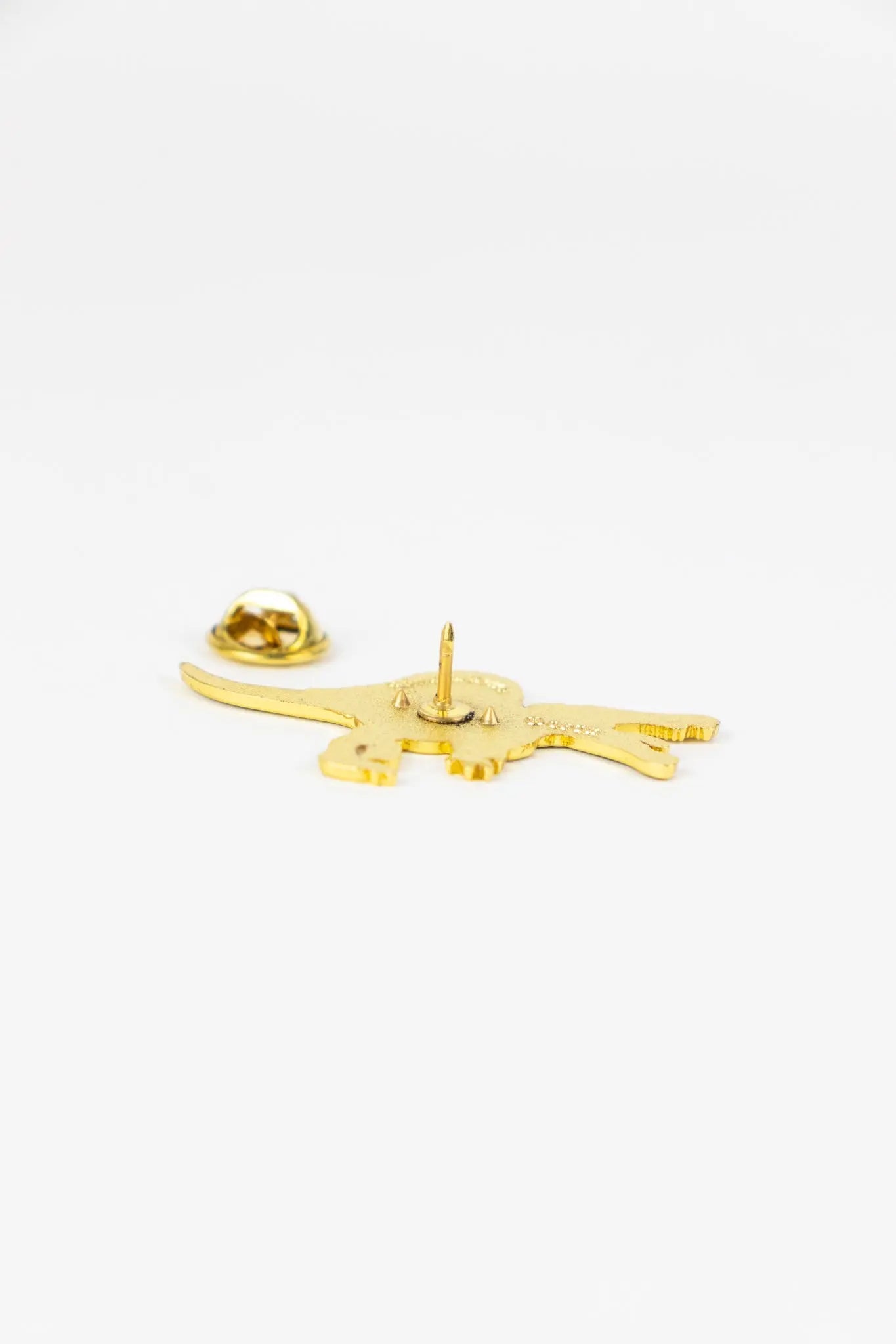 Spinosaurus Pin - Pin from Stemcell Science Shop