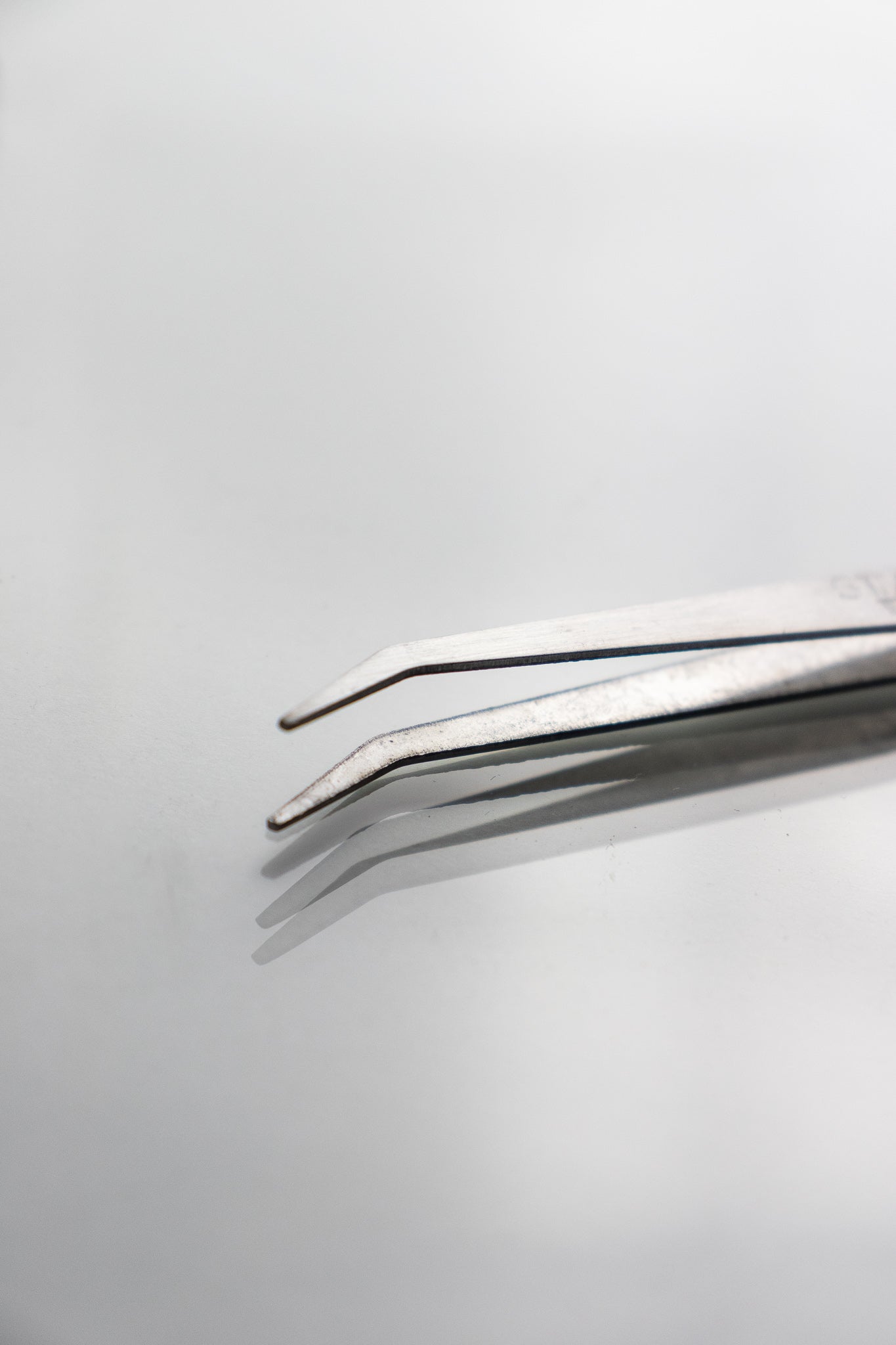 Stainless Steel Tweezers - Tool from Stemcell Science Shop