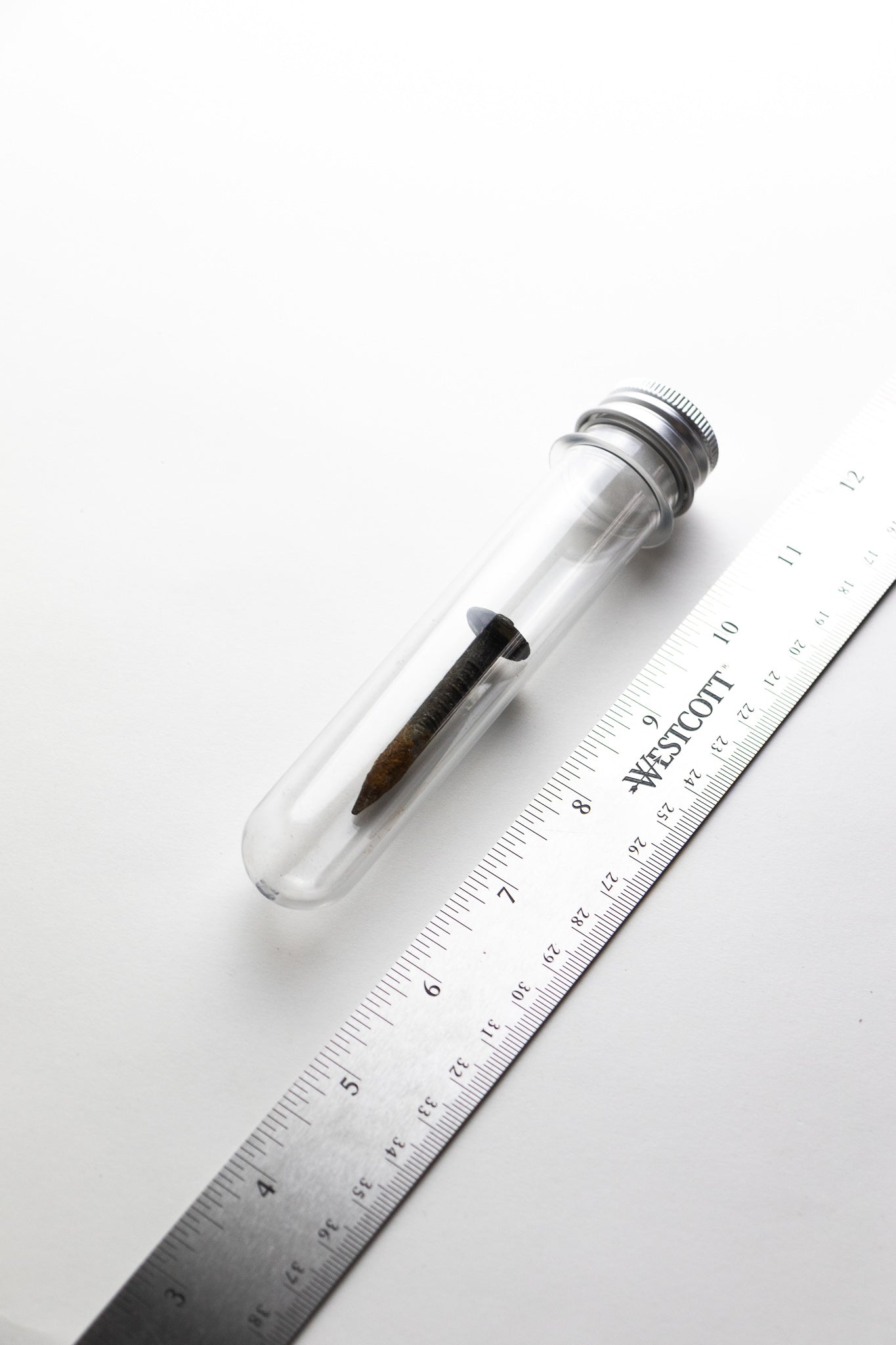 Steel Date Nail - Historic Artifacts from Stemcell Science Shop