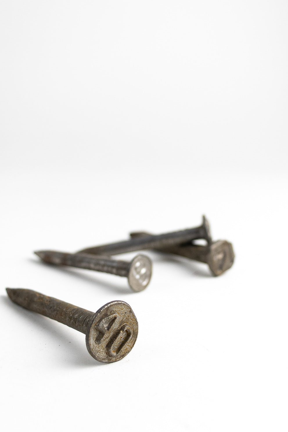 Steel Date Nail - Historic Artifacts from Stemcell Science Shop
