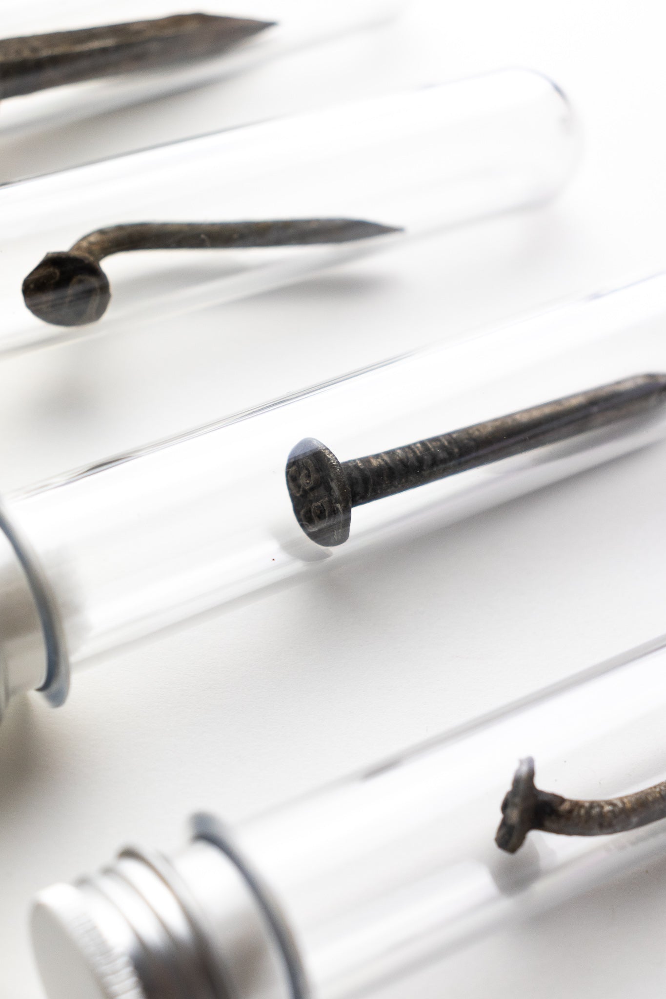 Steel Date Nail - Historic Artifacts from Stemcell Science Shop