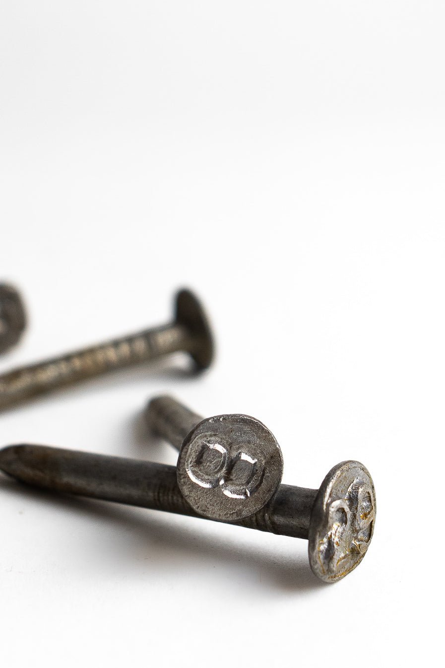 Steel Date Nail - Historic Artifacts from Stemcell Science Shop