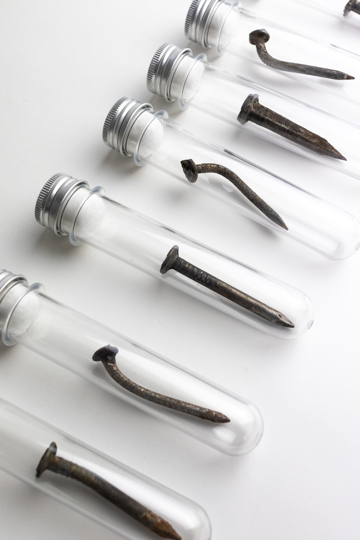 Steel Date Nail - Historic Artifacts from Stemcell Science Shop