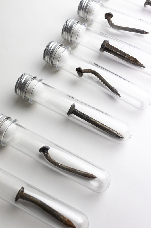 Steel Date Nail - Historic Artifacts from Stemcell Science Shop
