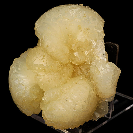 Stellerite Bow Natural Mineral Specimen # B 5905