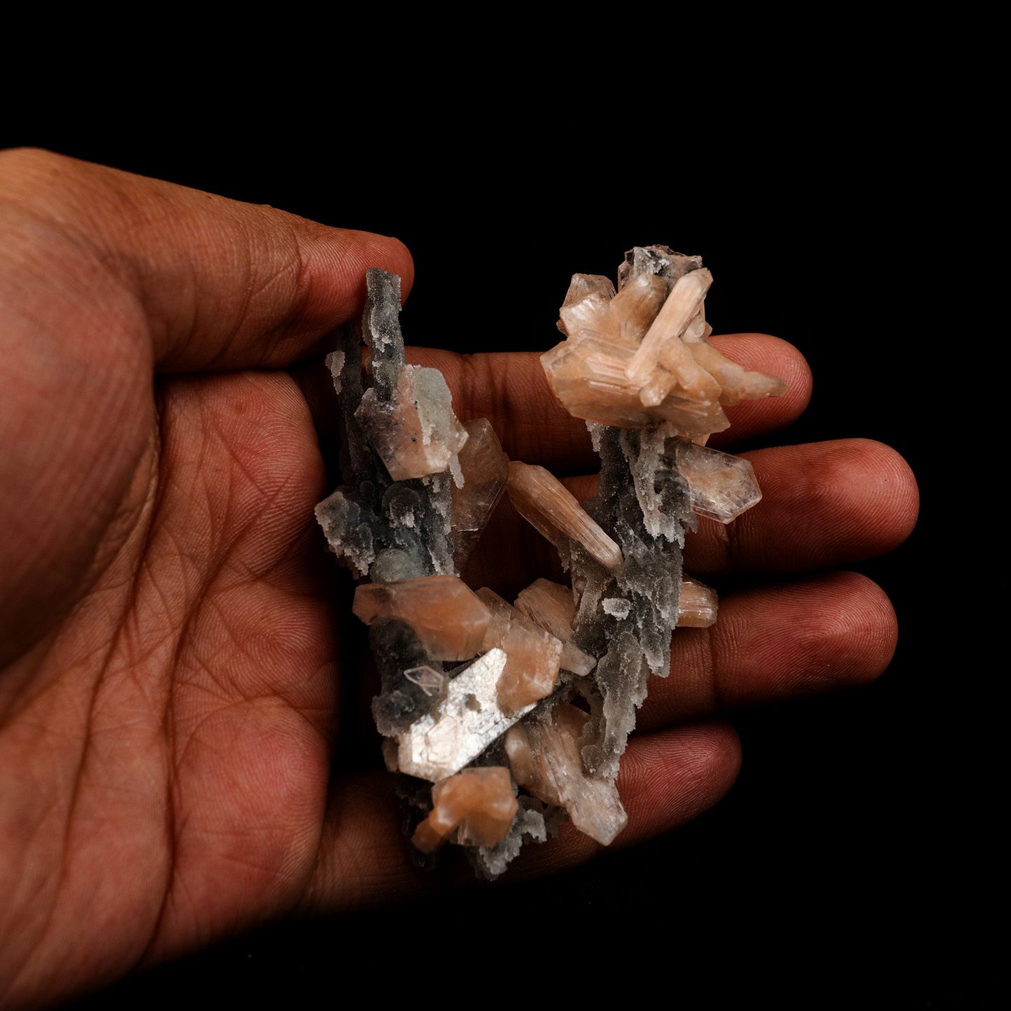 Stilbite on Chalcedony Coral Formation Natural Mineral Specimen # B 5145