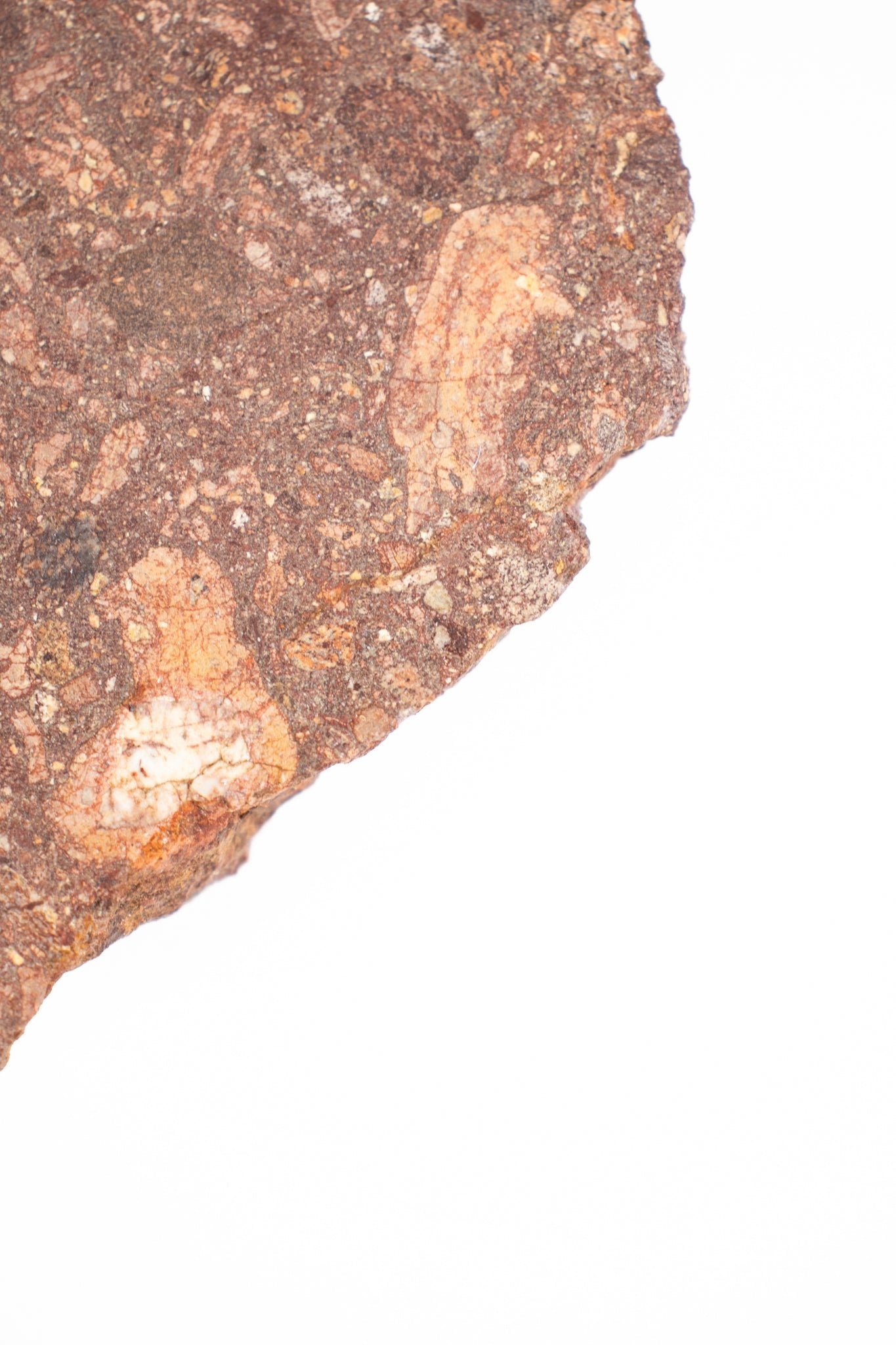 Suevite Fragment - from Stemcell Science Shop