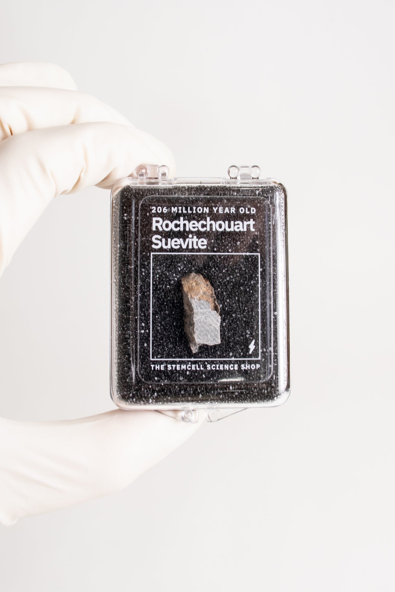 Suevite Fragment - from Stemcell Science Shop