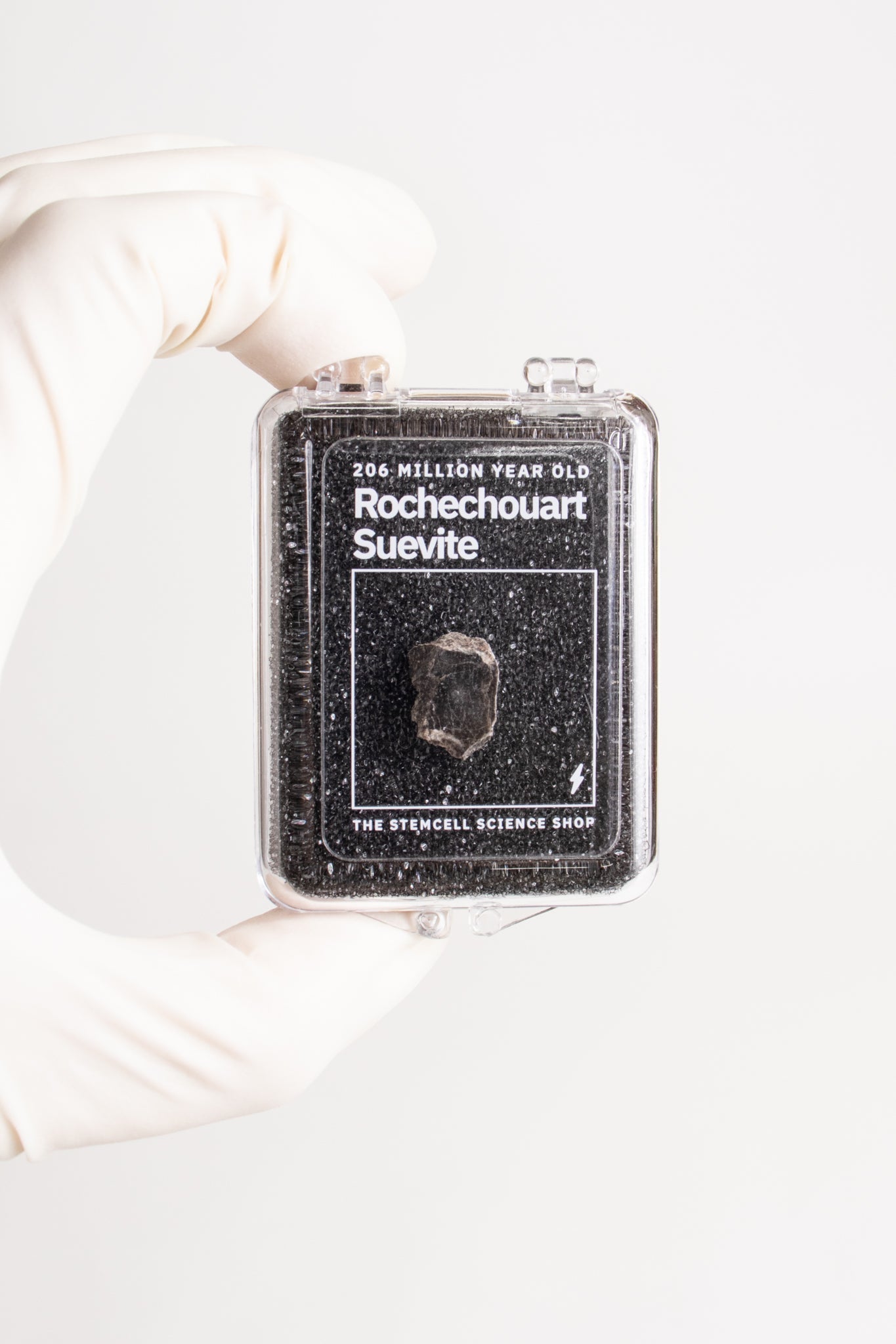 Suevite Fragment - from Stemcell Science Shop
