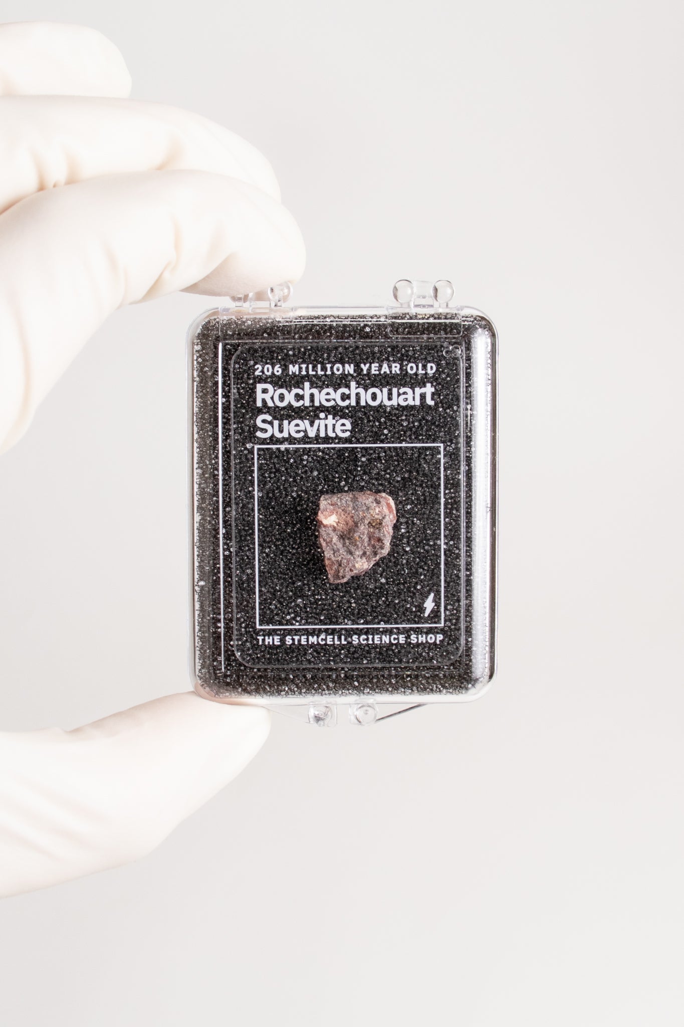 Suevite Fragment - from Stemcell Science Shop