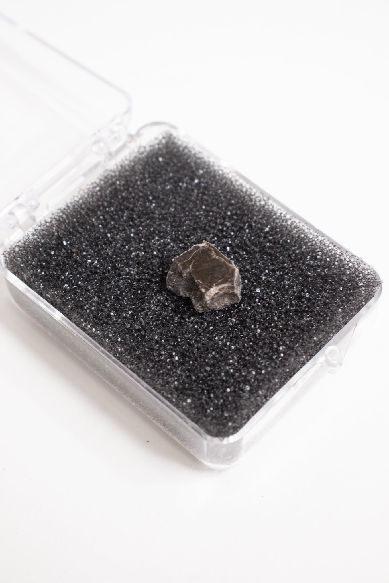 Suevite Fragment - from Stemcell Science Shop