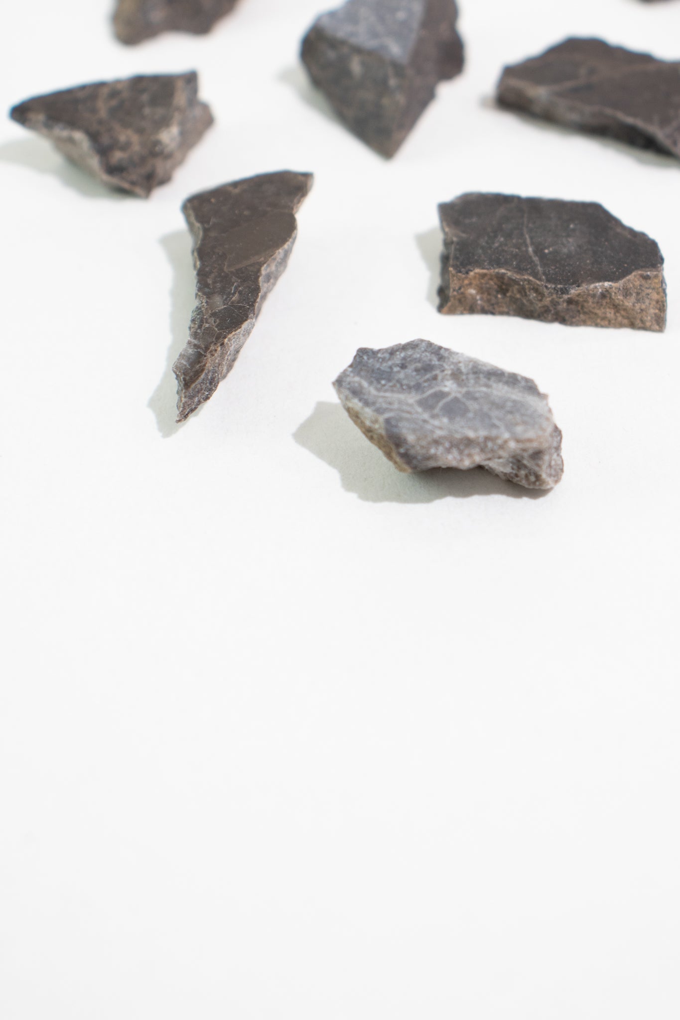 Suevite Fragment - from Stemcell Science Shop
