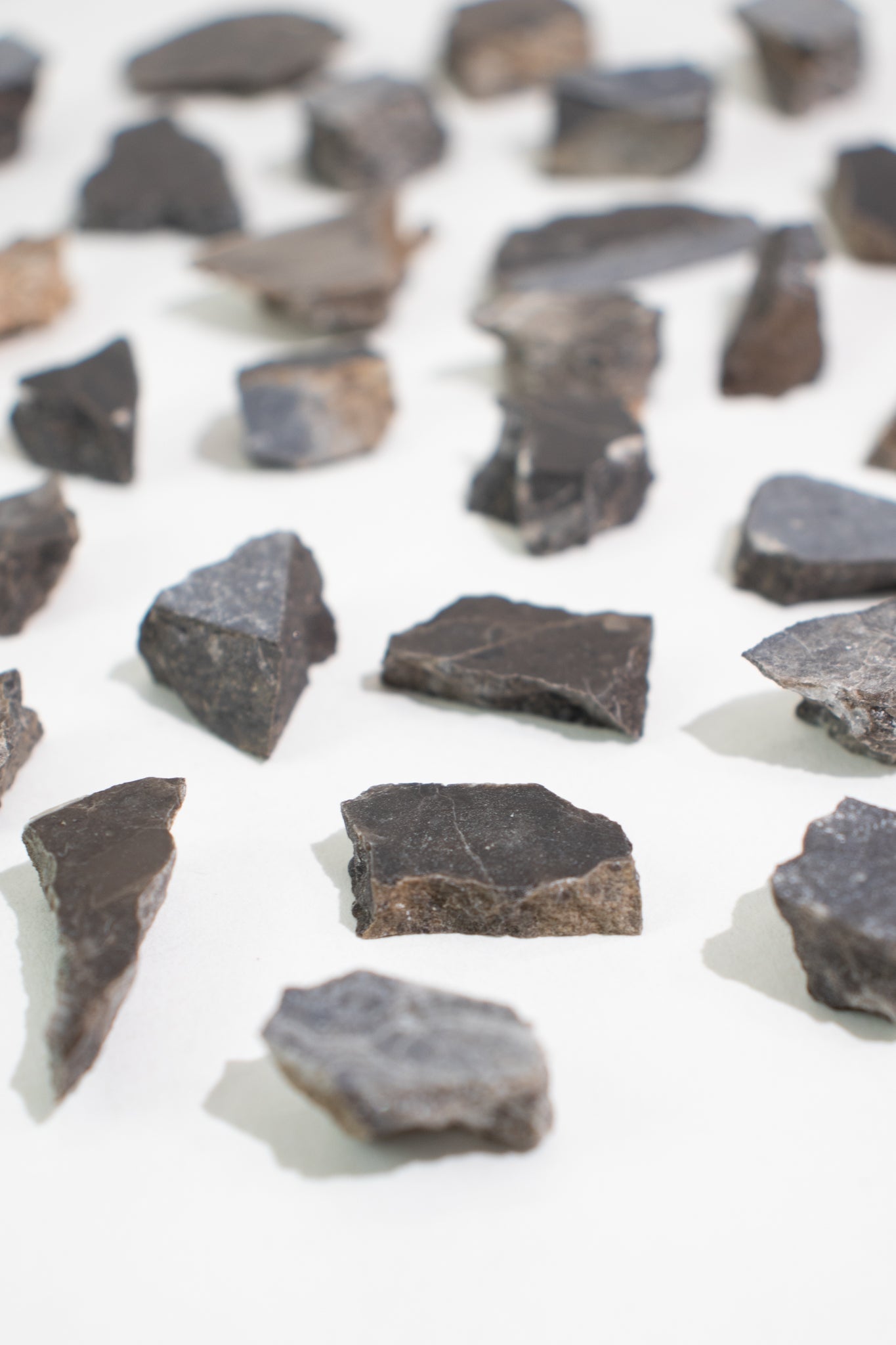 Suevite Fragment - from Stemcell Science Shop