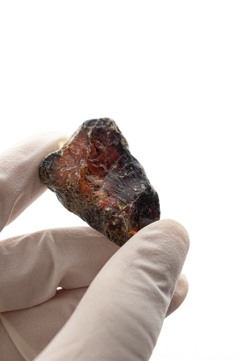Sumatran Amber - Rocks & Minerals from Stemcell Science Shop