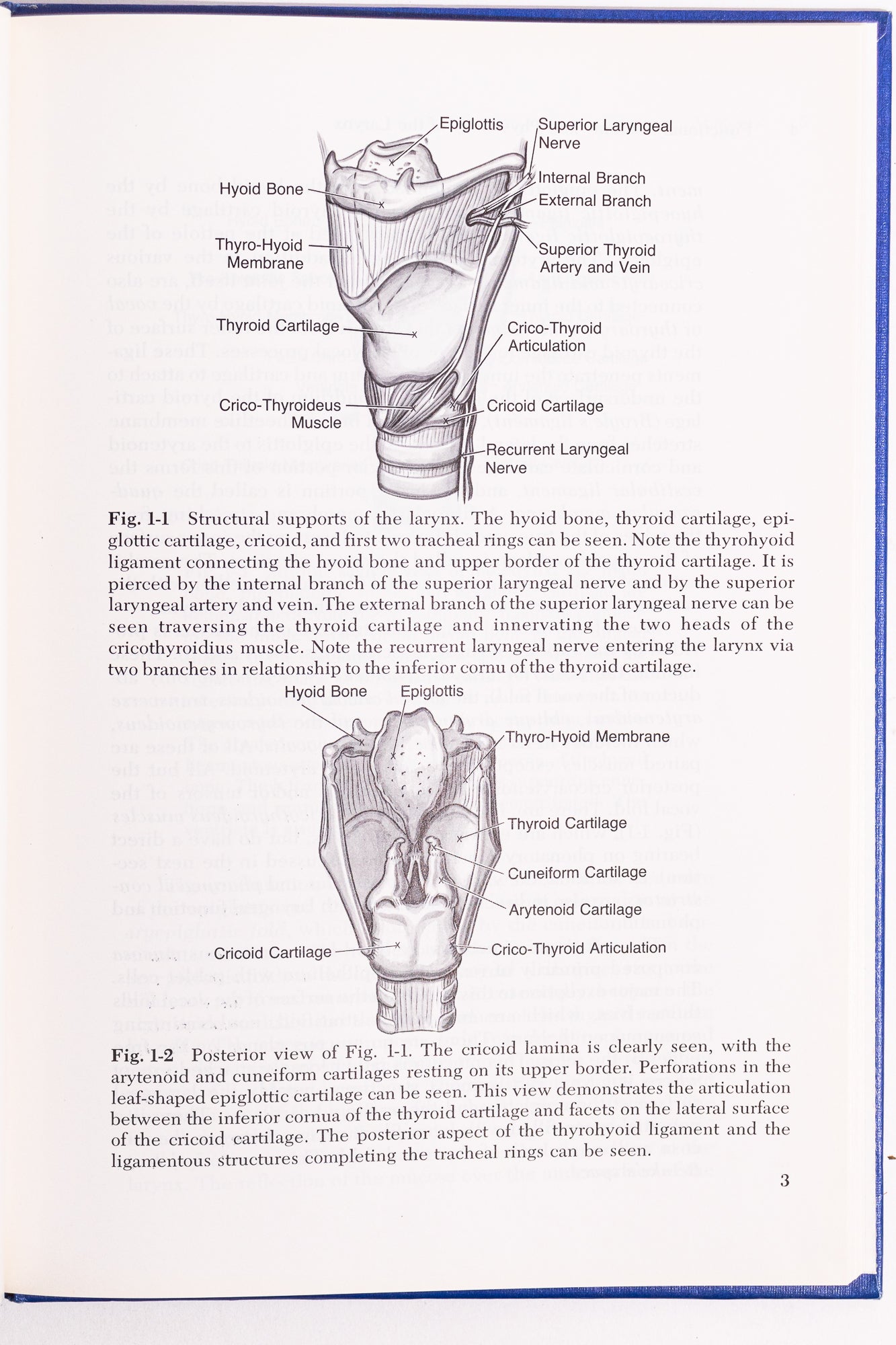Surgery for Phonatory Disorder - Books from Stemcell Science Shop