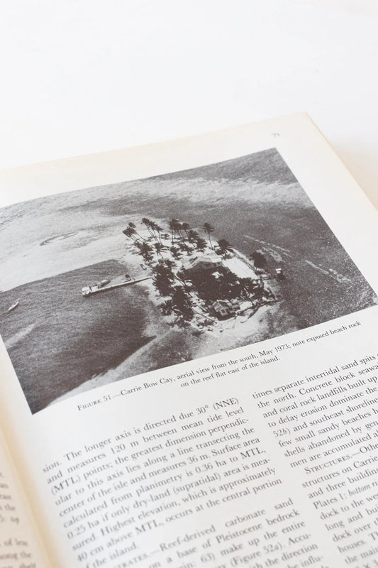The Atlantic Barrier Reef Ecosystem At Carrie Bow Cay, Belize, 1 - Books from Stemcell Science Shop