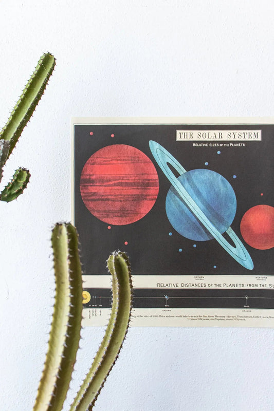 The Solar System Scientific Chart - Charts from Stemcell Science Shop