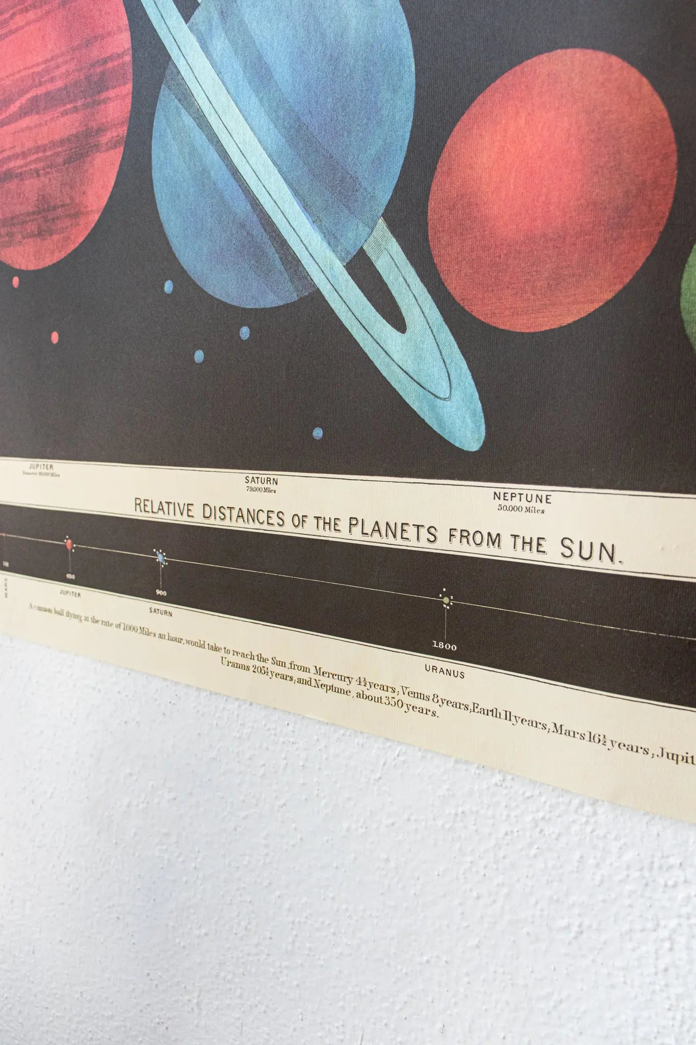 The Solar System Scientific Chart - Charts from Stemcell Science Shop