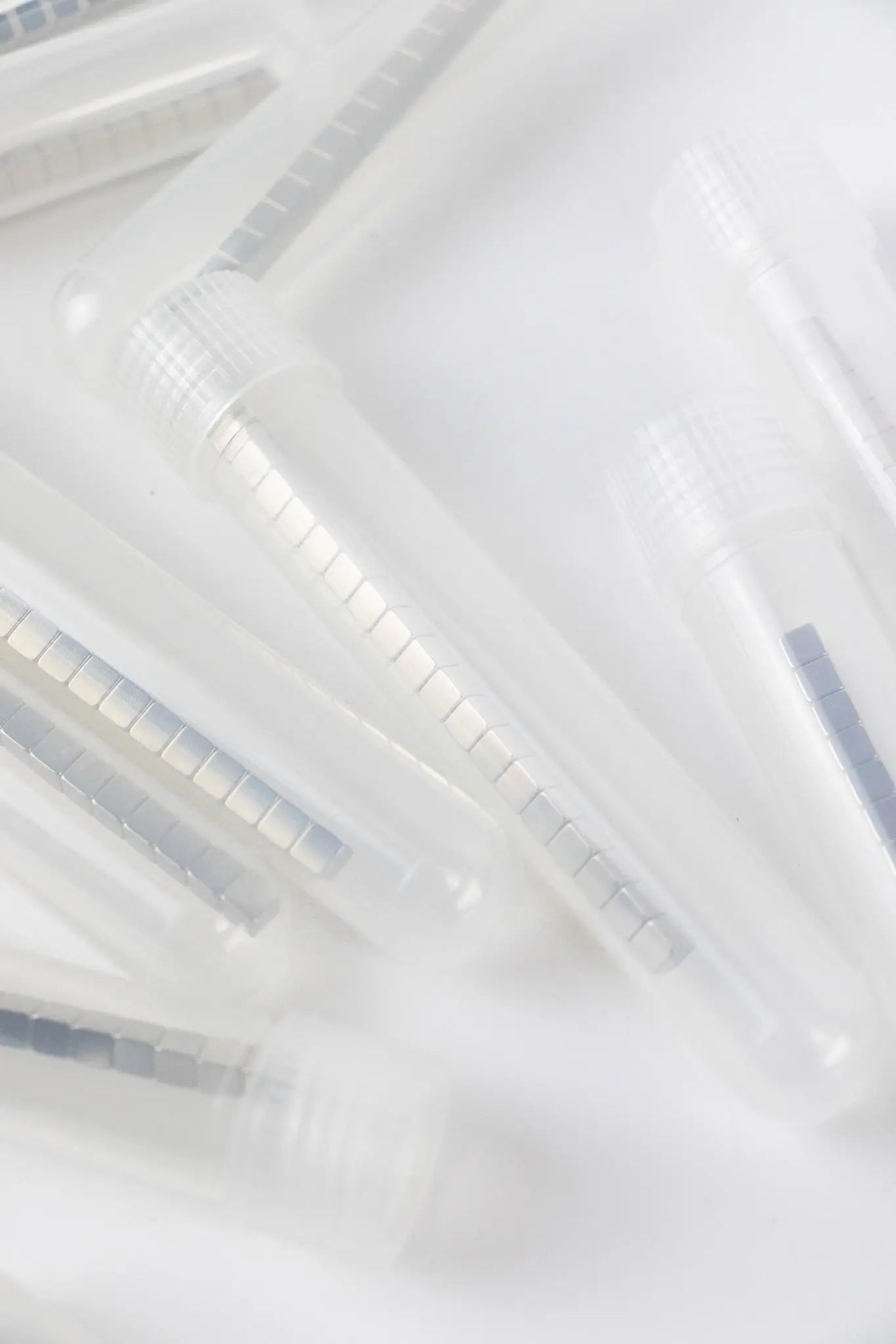 Tube of 20 Neodymium Magnets - Trinket from Stemcell Science Shop