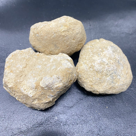 Unopened Geodes - Set of 10, Default Title at Stemcell Science Shop