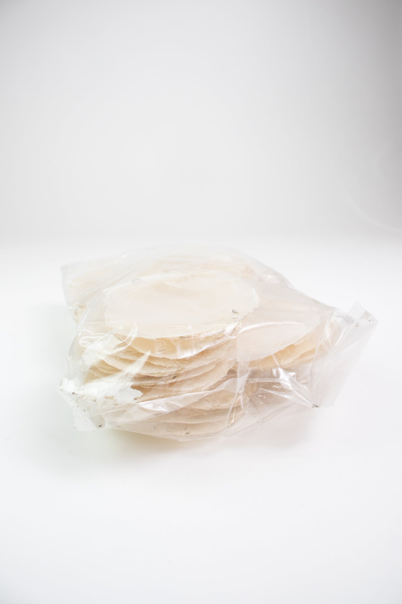 Windowpane Oyster Shells - Bulk - Natural Specimen from Stemcell Science Shop