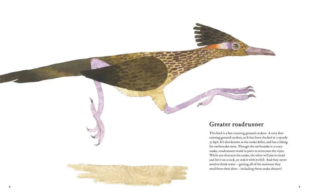 The Atlas of Amazing Birds