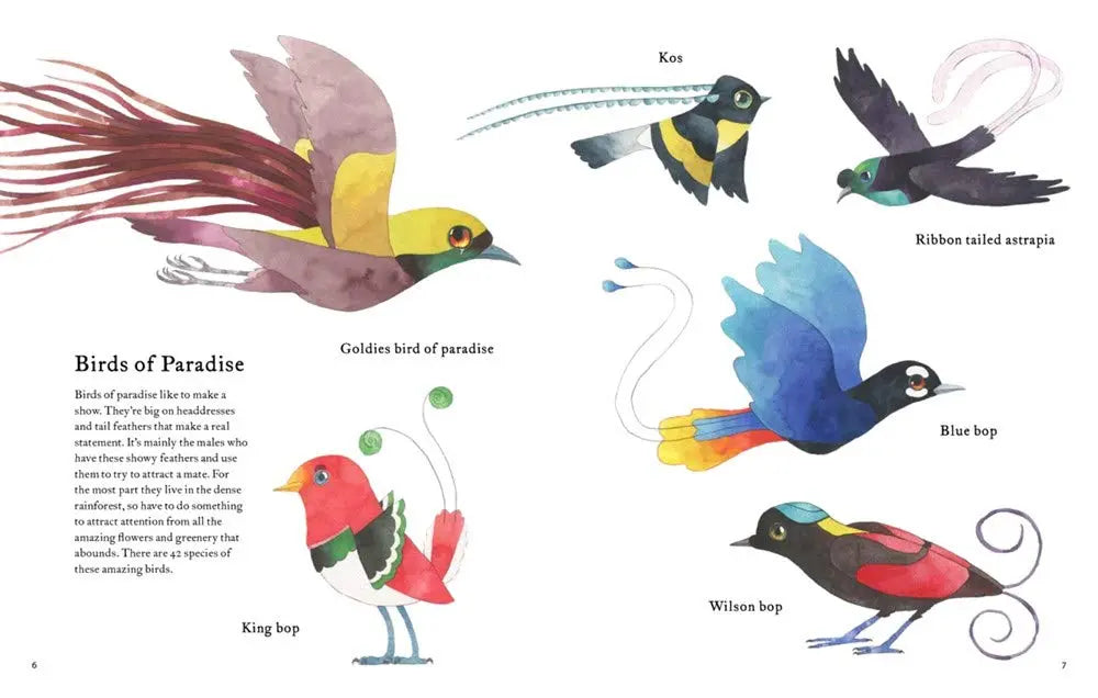 The Atlas of Amazing Birds