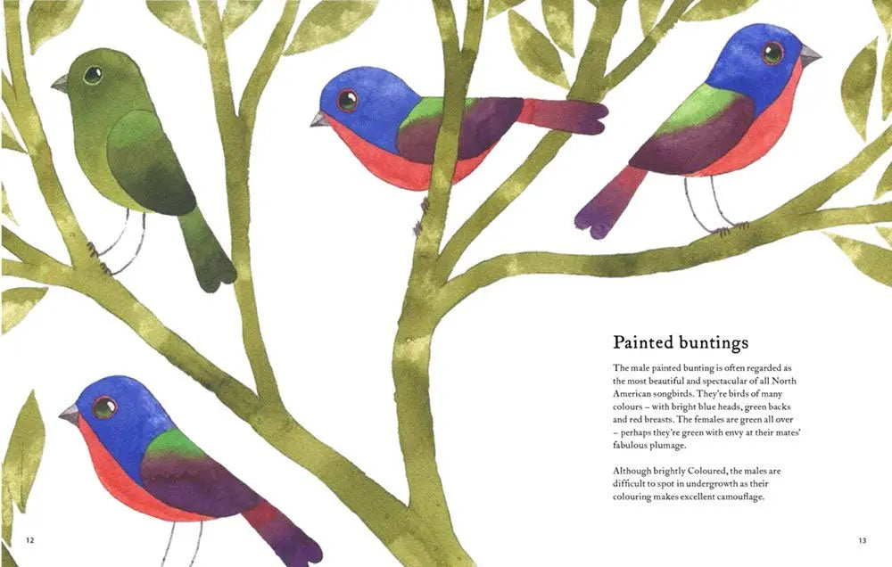 The Atlas of Amazing Birds