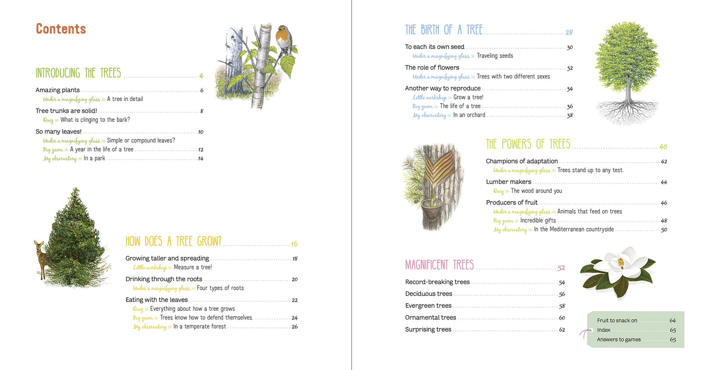 The Book of Amazing Trees