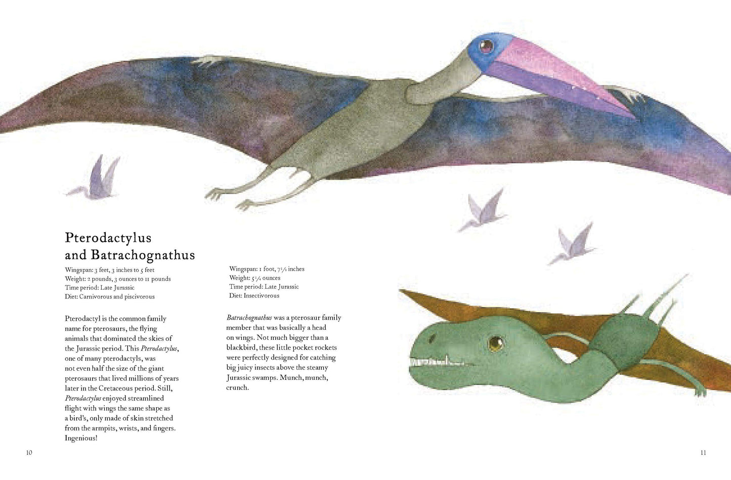 The Colorful World of Dinosaurs