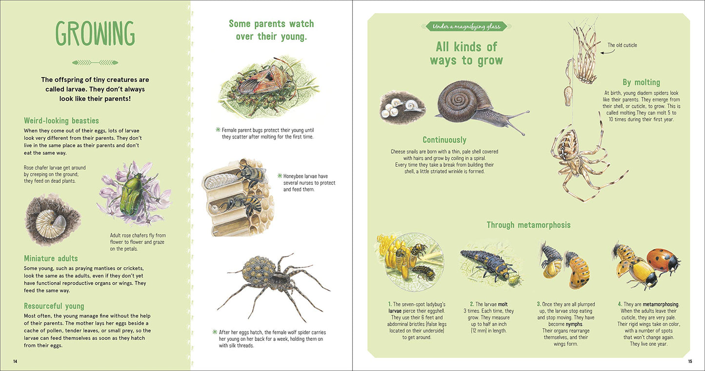 The Book of Tiny Creatures