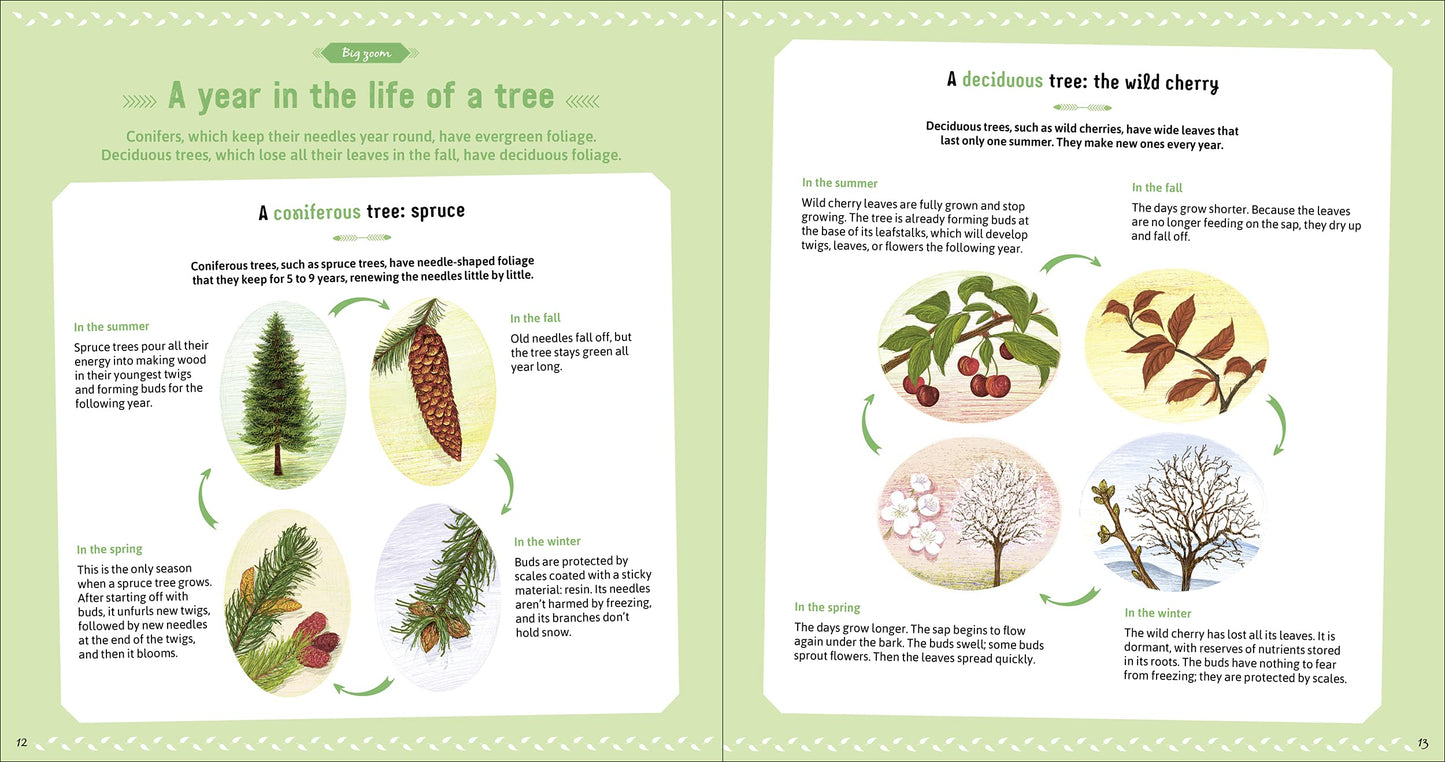The Book of Amazing Trees