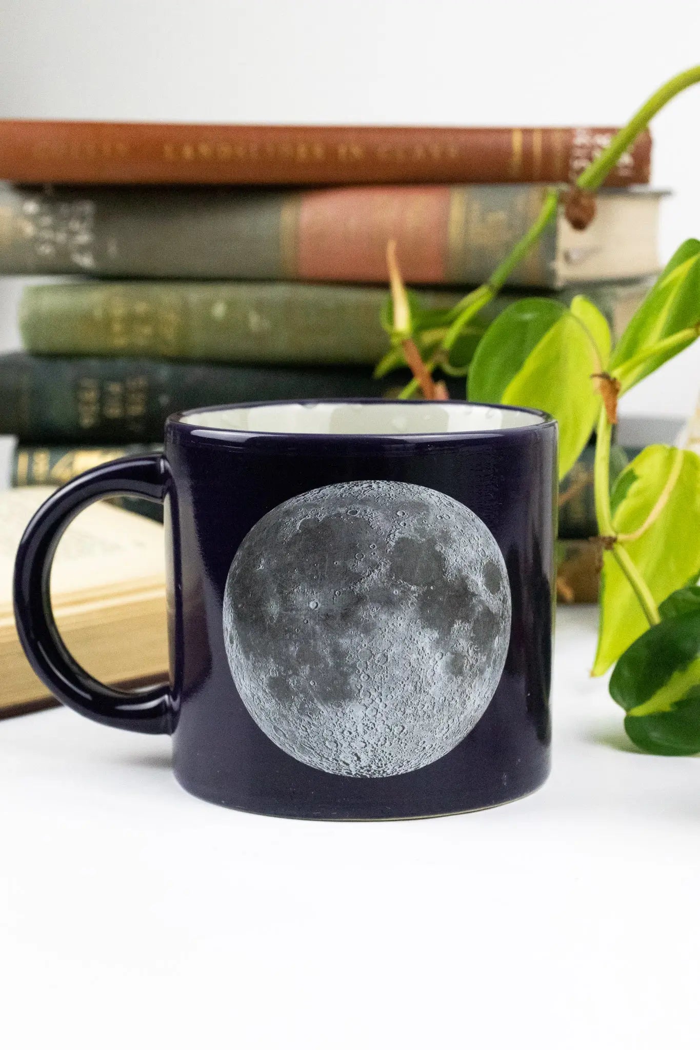 Heat-Changing Moon Mug