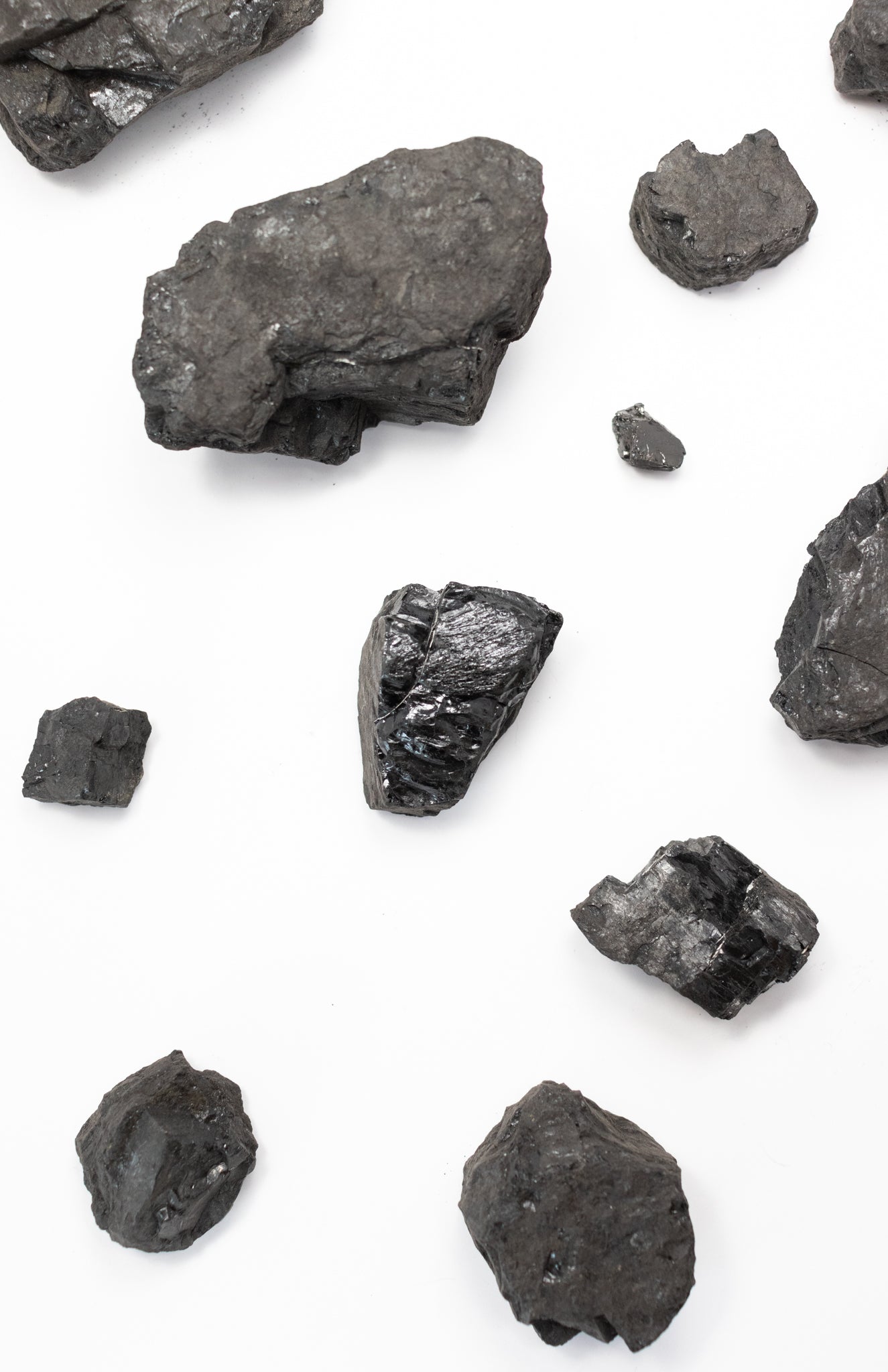 Anthracite - Stemcell Science Shop