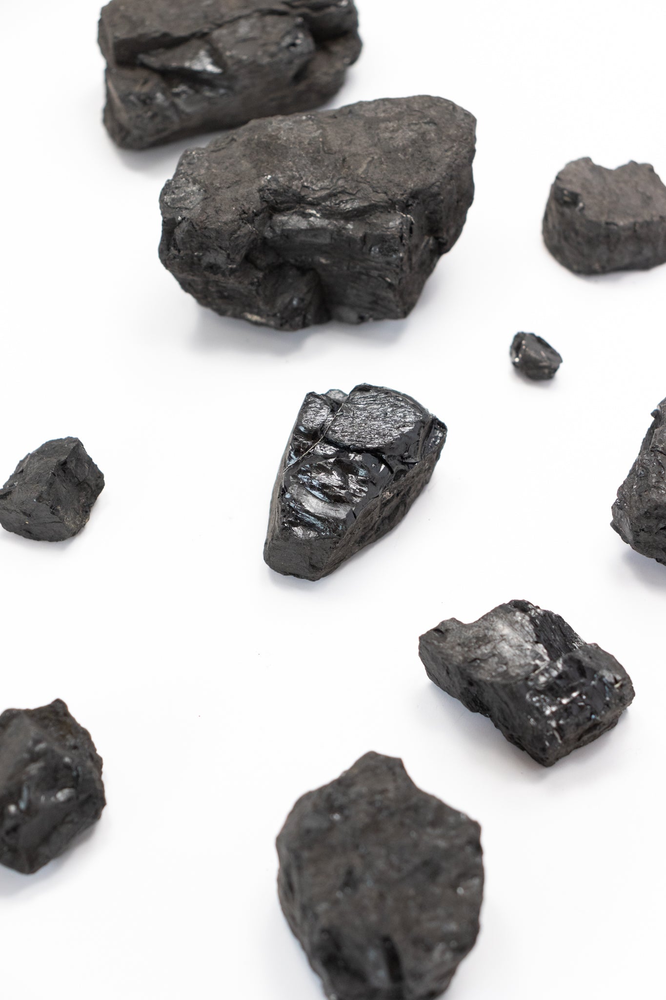 Anthracite - Stemcell Science Shop