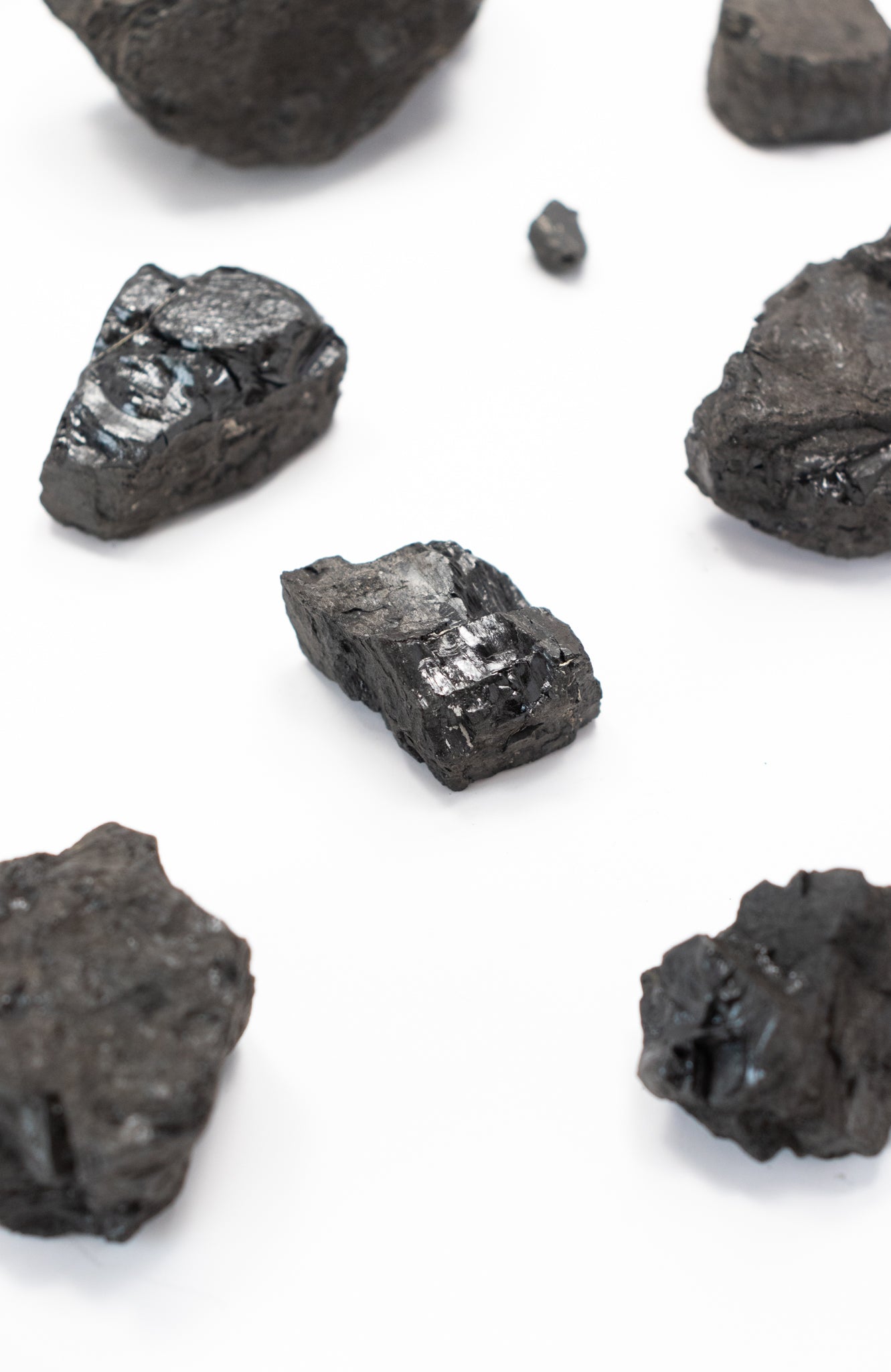 Anthracite - Stemcell Science Shop